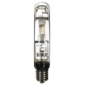 Metal Halide